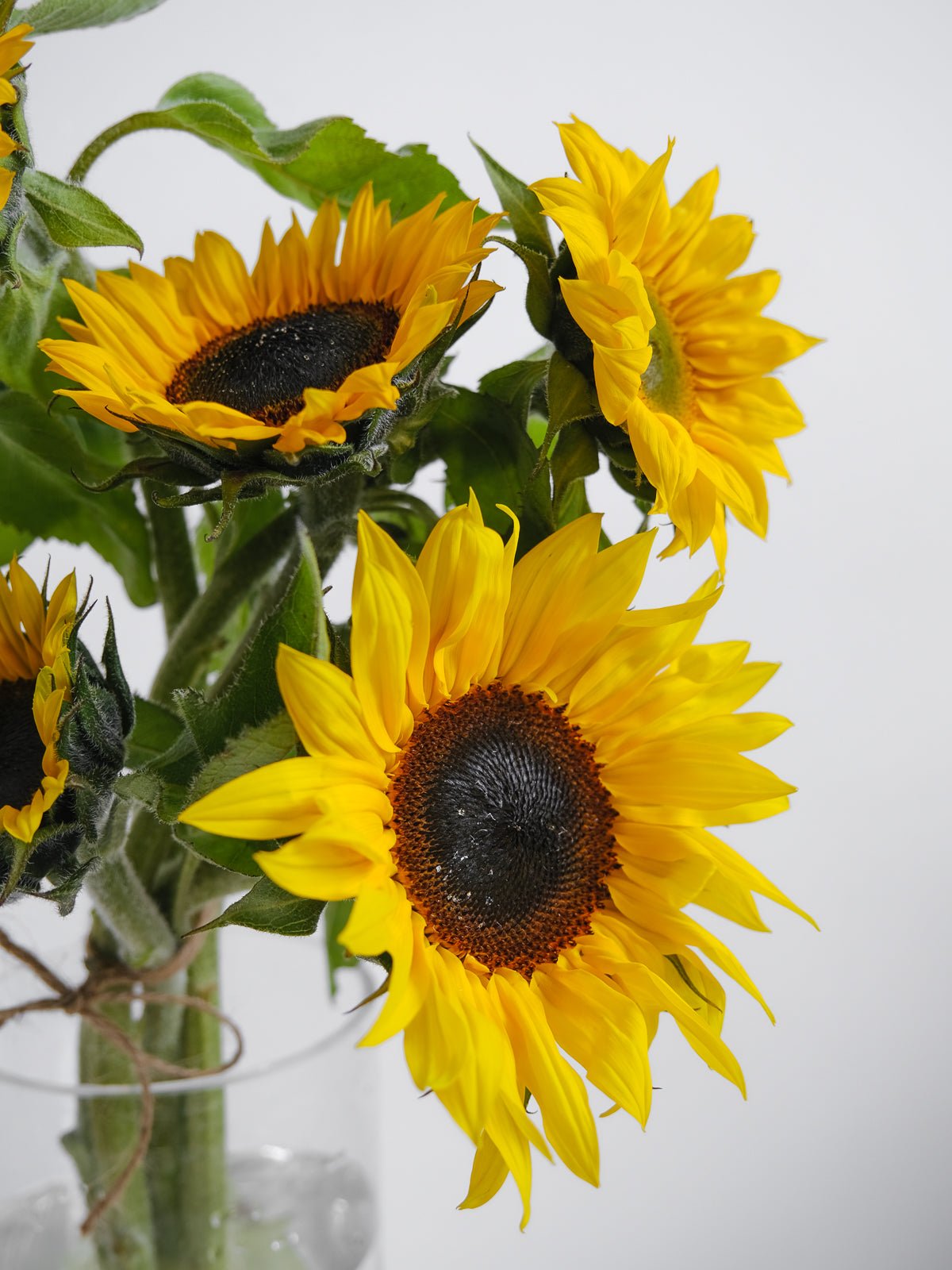 Sunflowers Bouquet - Amazing Graze Flowers