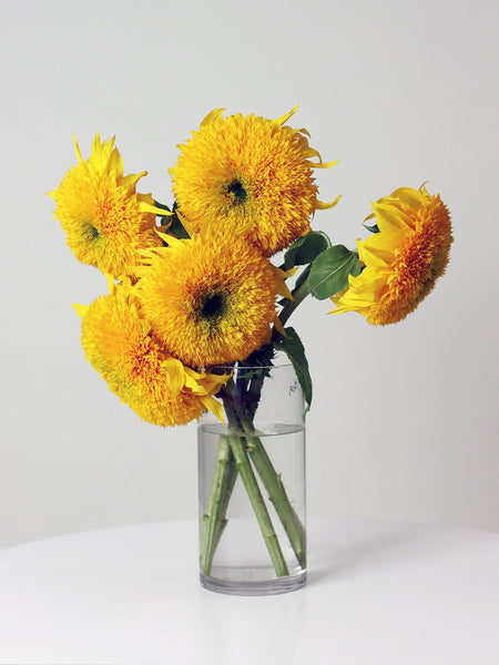 Teddy bear sunflower bouquet on sale