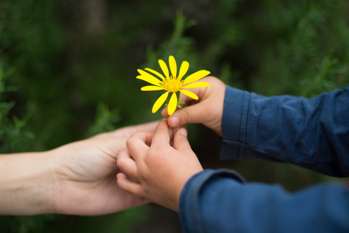 5 Benefits of Giving and Receiving Flowers - Amazing Graze Flowers