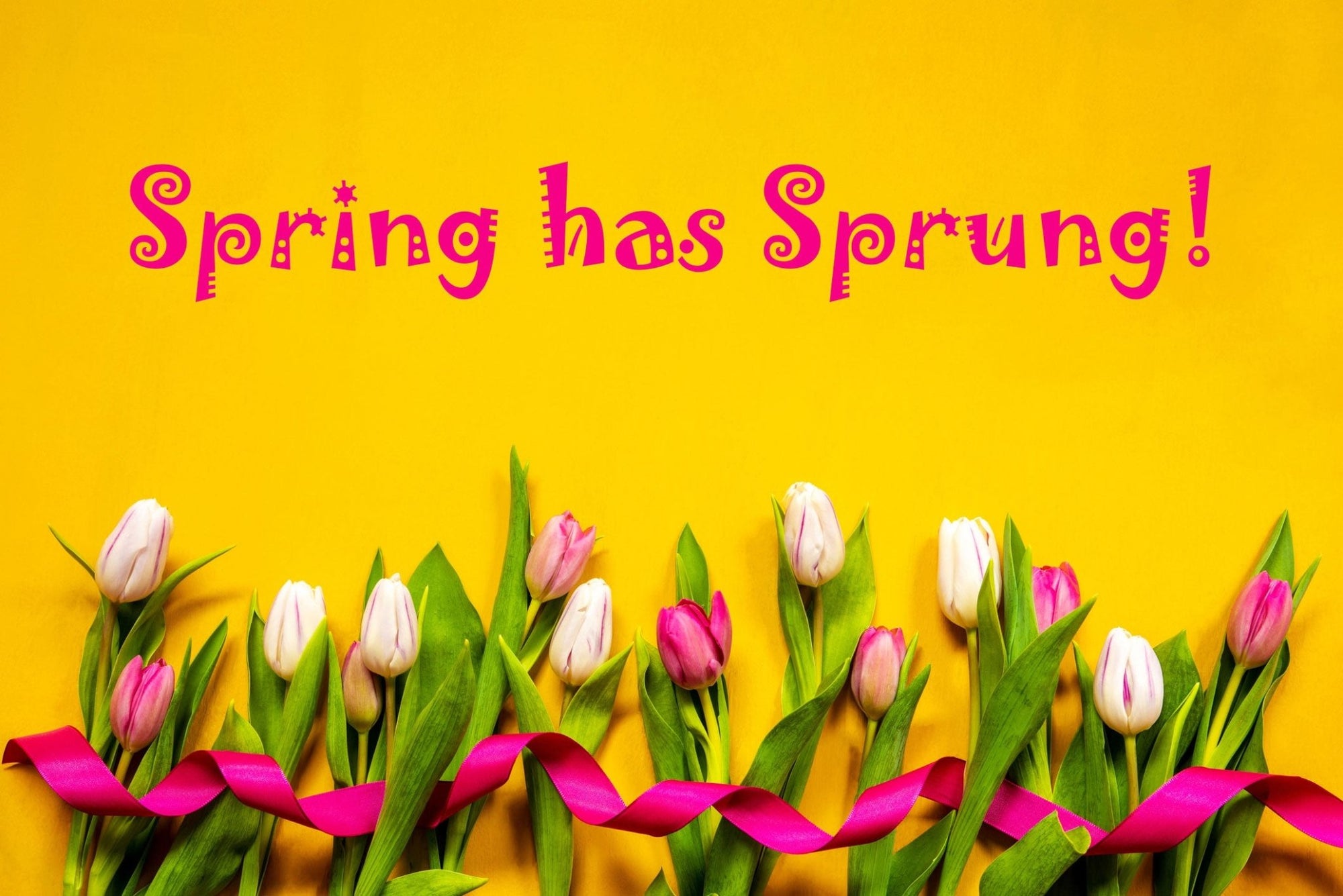 5 In-Season Spring Flowers To Brighten Your Home - Amazing Graze Flowers