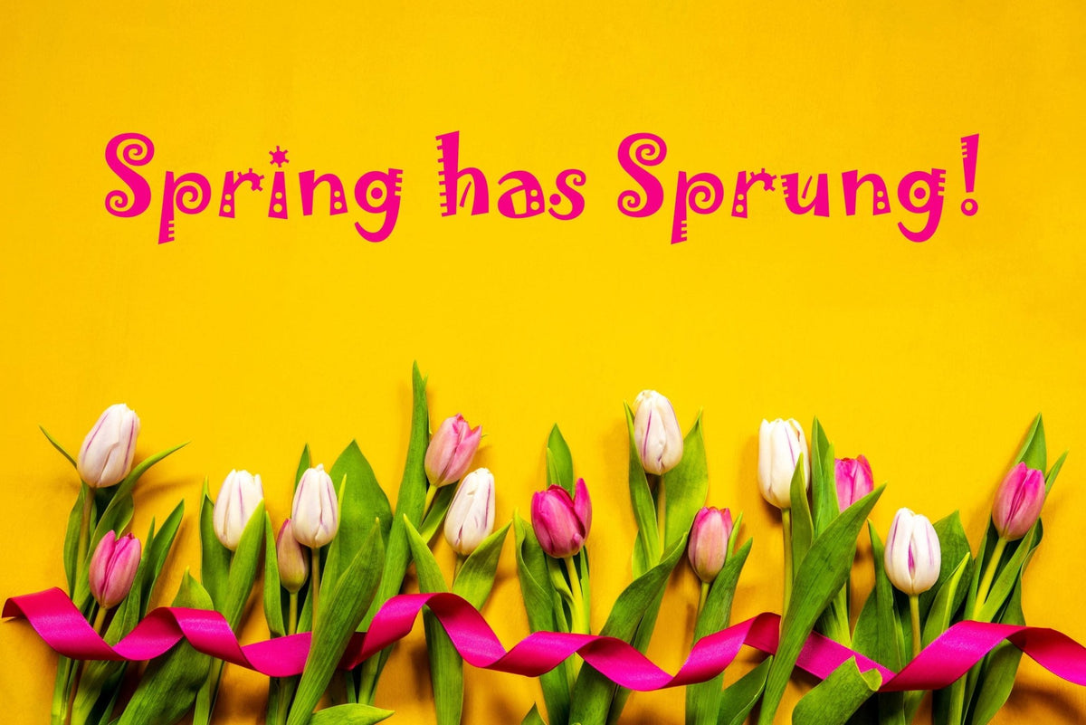 5 In-Season Spring Flowers To Brighten Your Home - Amazing Graze Flowers