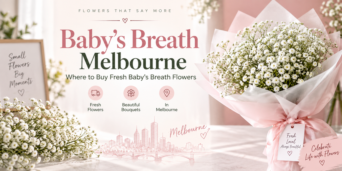 Baby's Breath Melbourne: Where to Buy Fresh Baby's Breath Flowers | Amazing Graze Flowers 