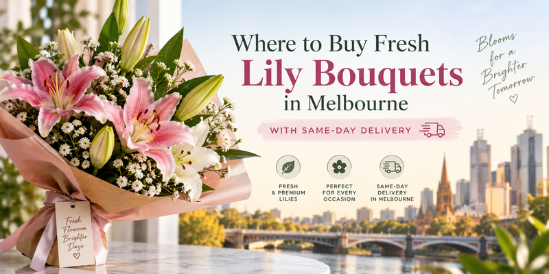 Where to Buy Fresh Lily Bouquets in Melbourne With Same-Day Delivery | Amazing Graze Flowers 