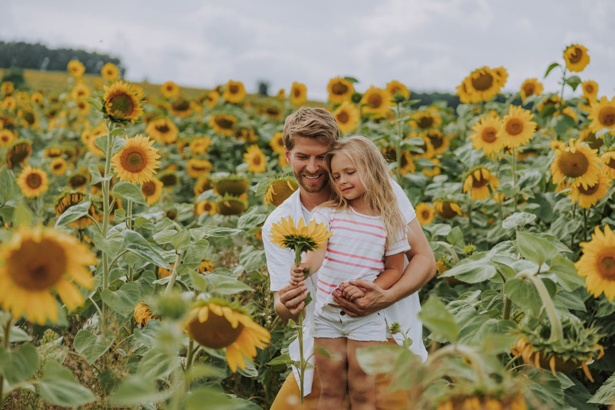 A Study Of Sunflowers - Amazing Graze Flowers