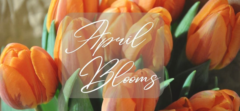April in Bloom: A Guide to the Most Beautiful Flowers in Season in Australia - Amazing Graze Flowers