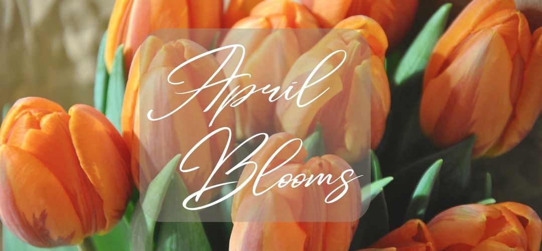 April in Bloom: A Guide to the Most Beautiful Flowers in Season in Australia - Amazing Graze Flowers