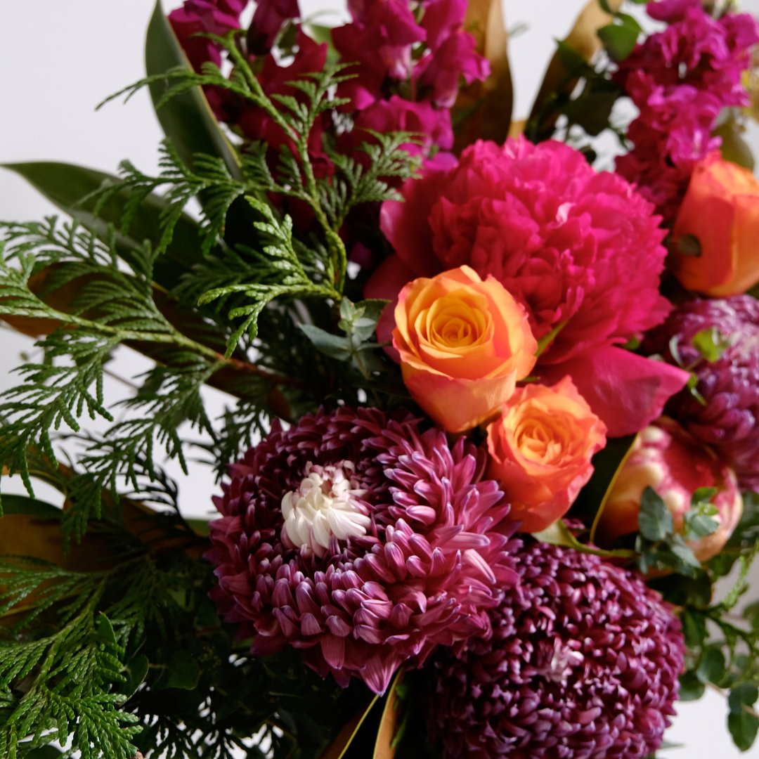 Blooms in Season that Drive Your Winter Blue Away - Amazing Graze Flowers
