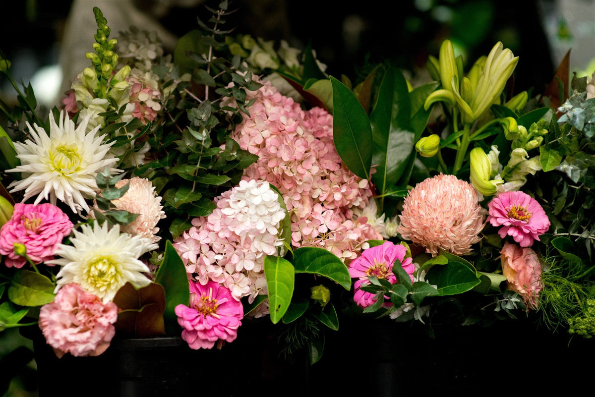 Decorating Your Home and Garden this Autumn - Amazing Graze Flowers