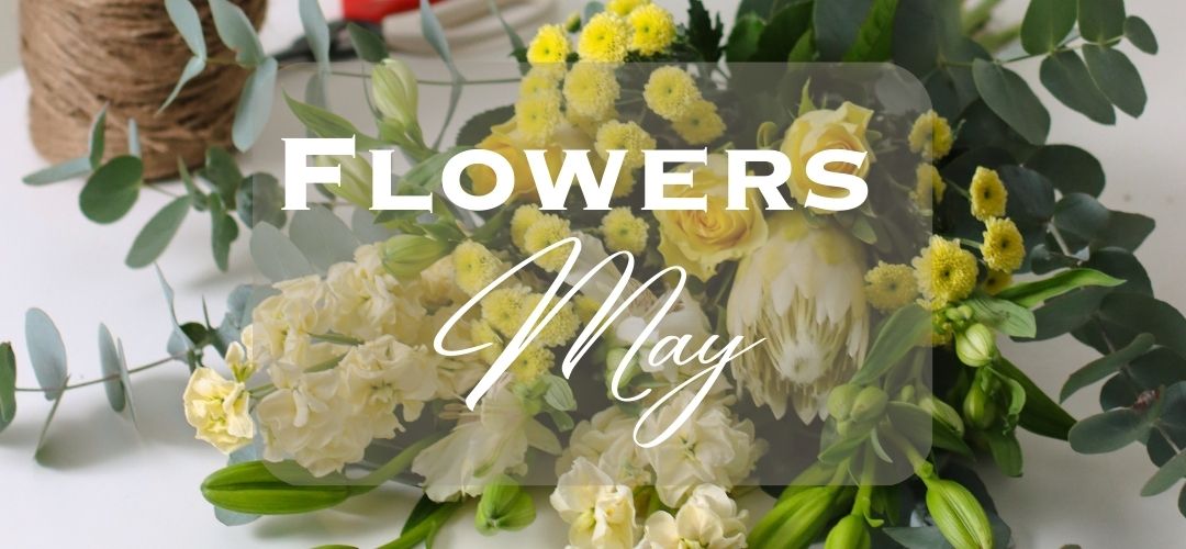 May Flowers: A Guide to the Stunning Blooms in Season in Australia - Amazing Graze Flowers
