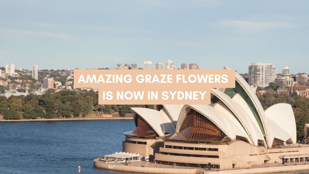 Sydney, Here We Come! - Amazing Graze Flowers