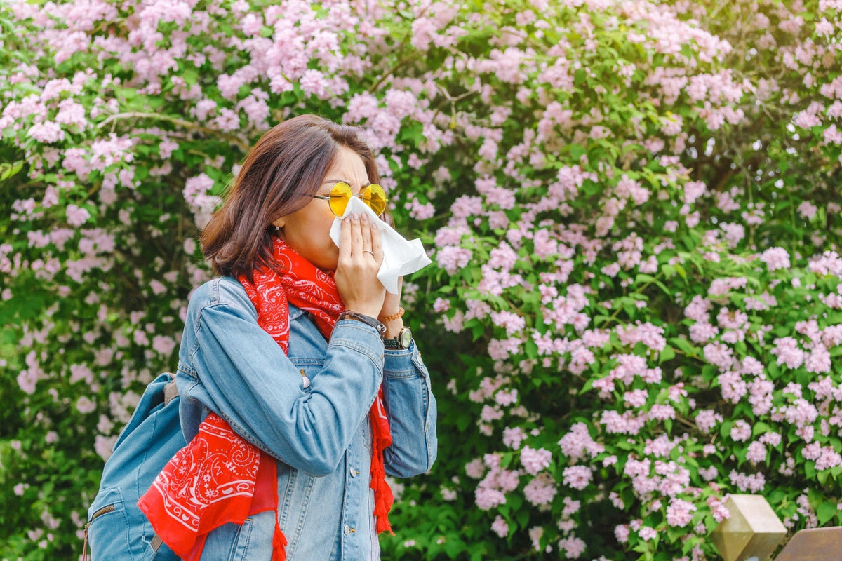 The Best Flowers For People With Allergies - Amazing Graze Flowers
