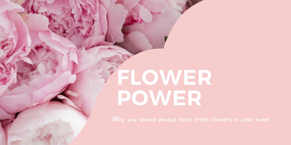 Why you should always have fresh flowers in your home - Amazing Graze Flowers