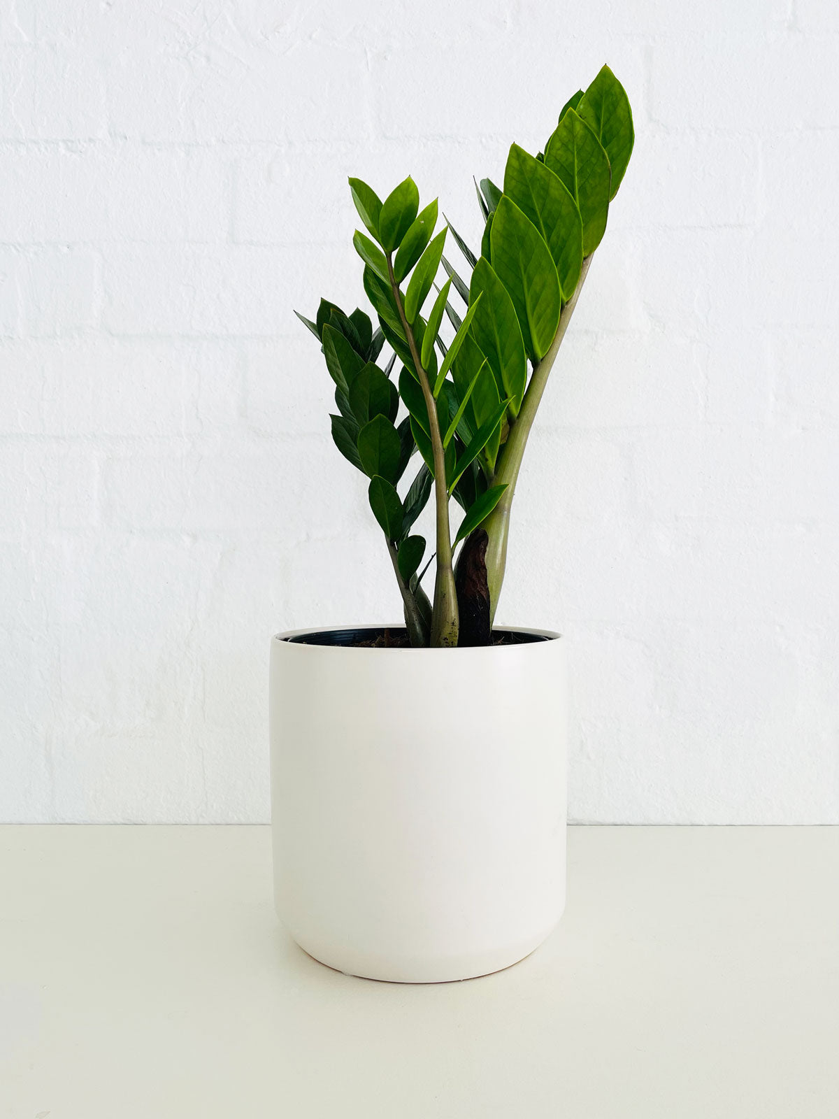 Essendon Florist Flower Deliveries Melbourne Fresh Cut Flowers