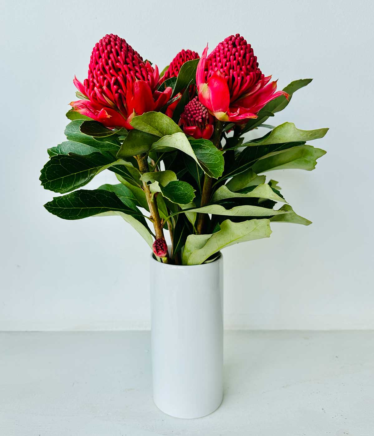 WARATAH BUNCH