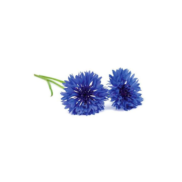 Buttonhole Flowers