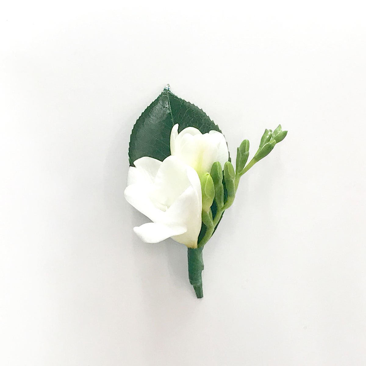 Buttonhole Flowers - Amazing Graze Flowers