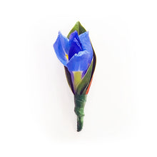 Dutch Blue Iris Buttonhole