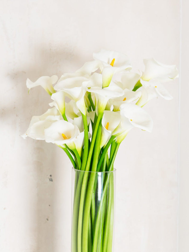 Just Because Flowers
