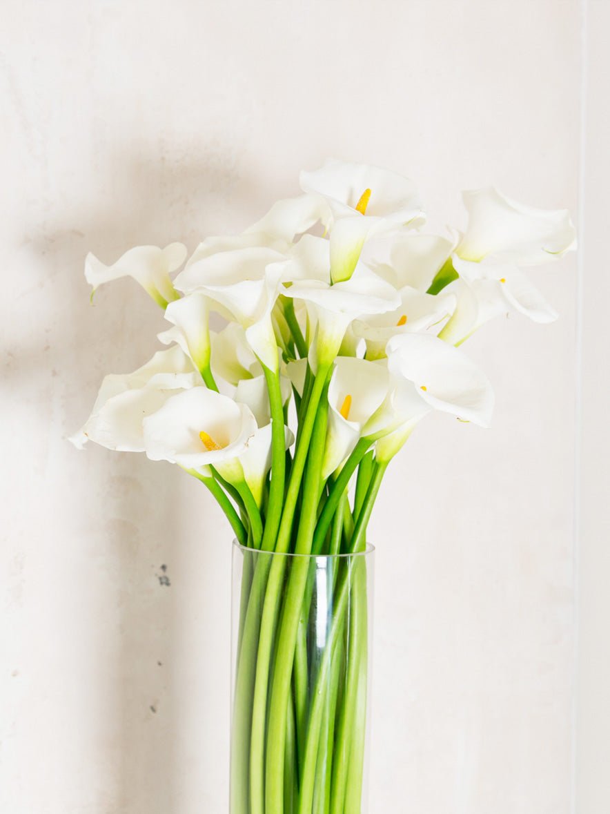 Calla Lily Bouquet - Amazing Graze Flowers