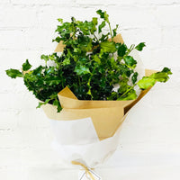 Christmas Holly Bunch - Amazing Graze Flowers