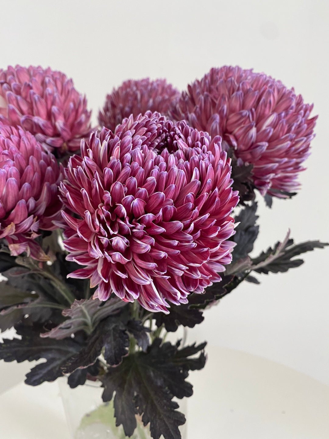 Chrysanthemum Bunch - Amazing Graze Flowers