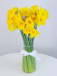Daffodils Bunch - Amazing Graze Flowers