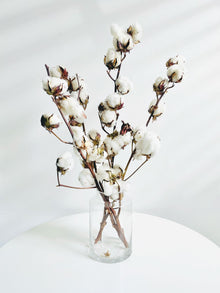 3 stems