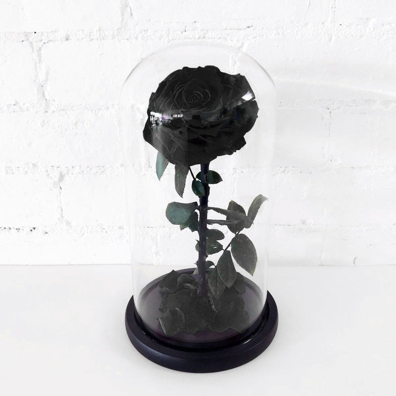 Everlasting Rose - Black - Amazing Graze Flowers