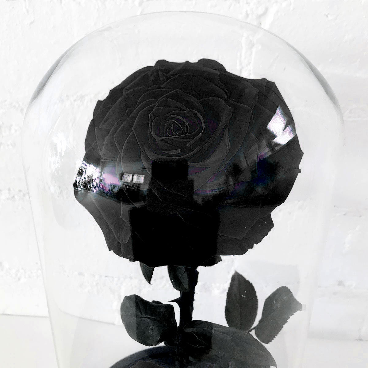 Everlasting Rose - Black - Amazing Graze Flowers