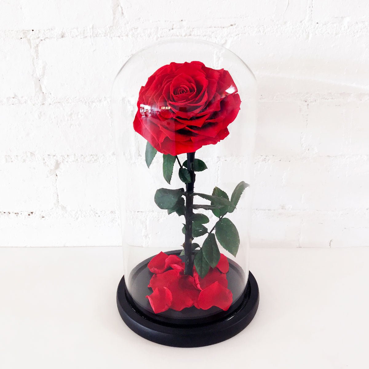 Everlasting Rose + I love you Cookies - Amazing Graze Flowers