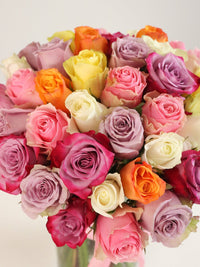 Fairy Floss Pastel Rose Bouquet - Amazing Graze Flowers