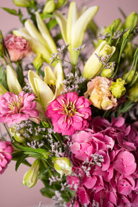 February Baby - Amazing Graze Flowers