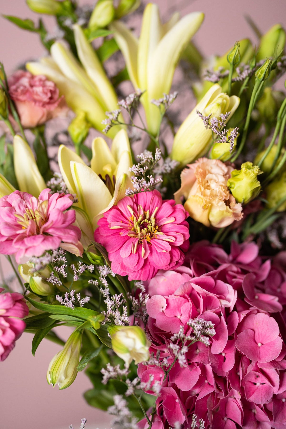 February Baby - Amazing Graze Flowers