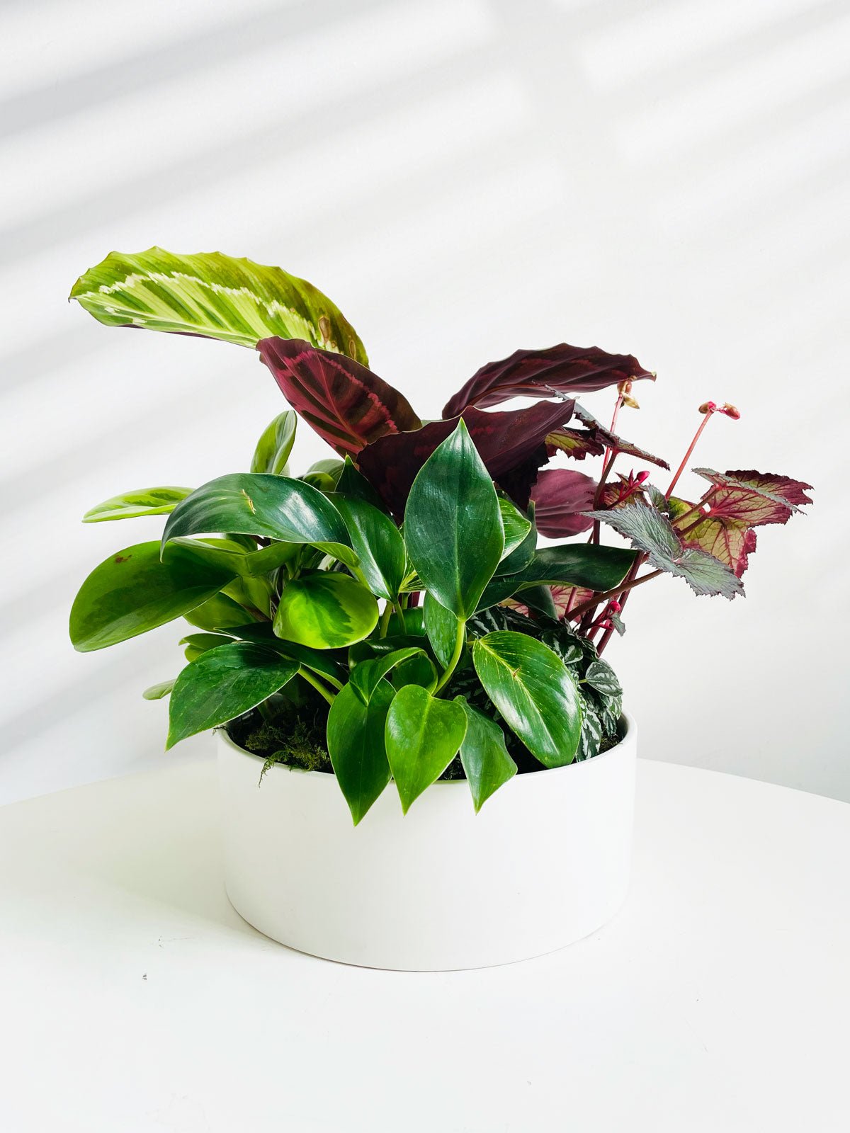 Foliage Garden Bowl - Amazing Graze Flowers