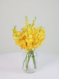Happy Orchids - Amazing Graze Flowers