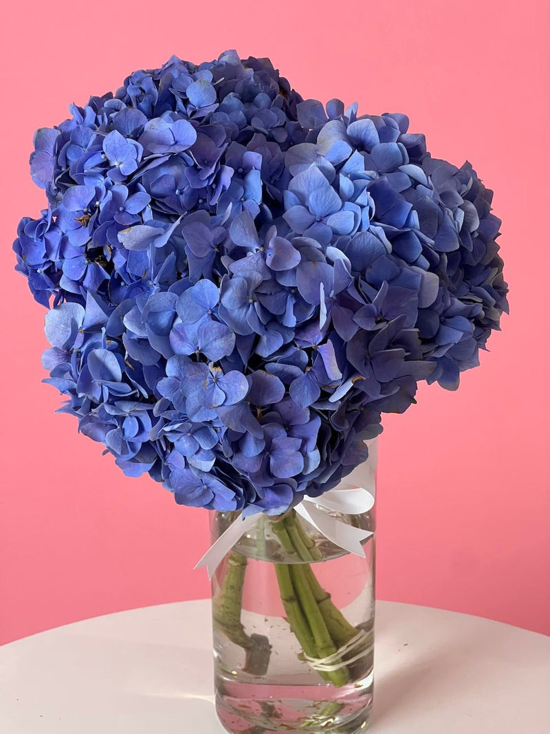 Hydrangea Bunch - Amazing Graze Flowers