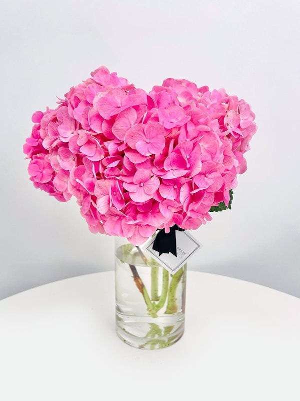 Hydrangea Bunch
