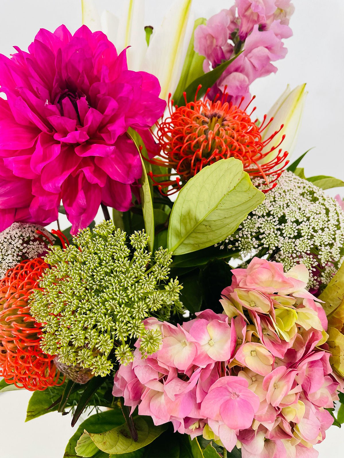 January Baby - Amazing Graze Flowers