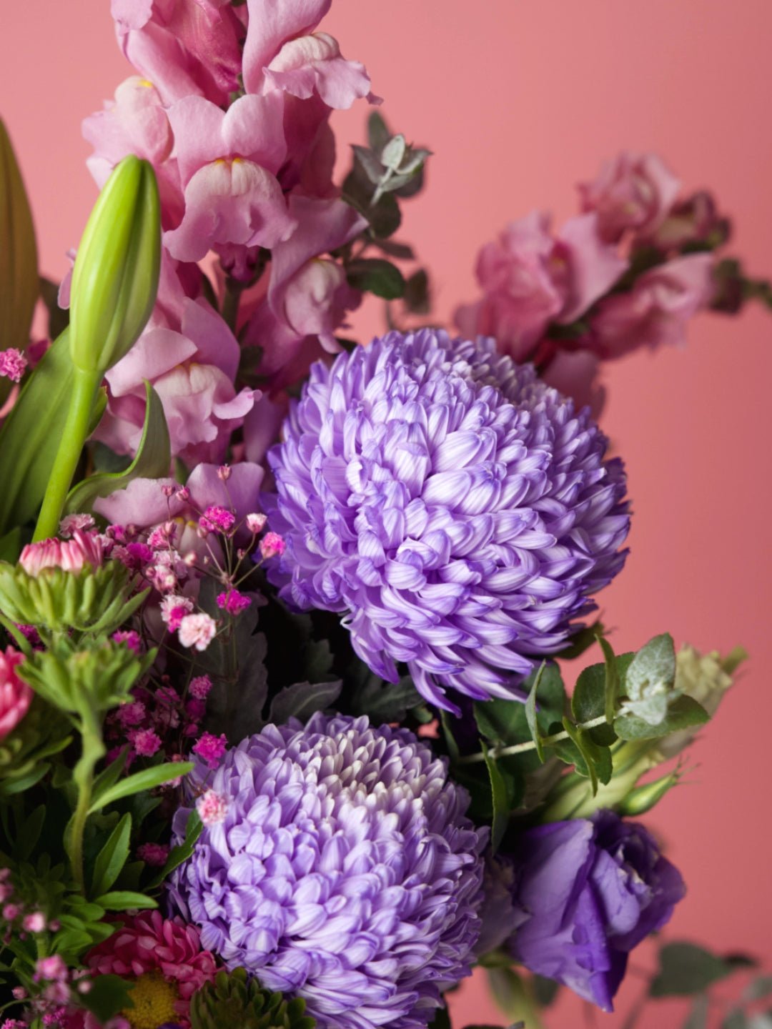 March Baby - Amazing Graze Flowers