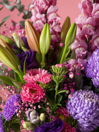 March Baby - Amazing Graze Flowers