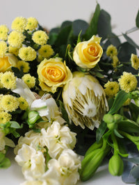 May Baby - Amazing Graze Flowers