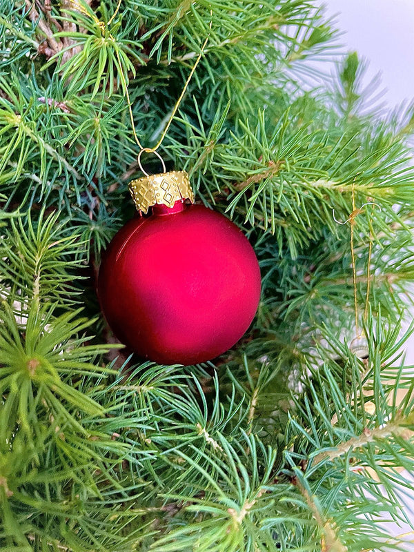 Mini Christmas Tree