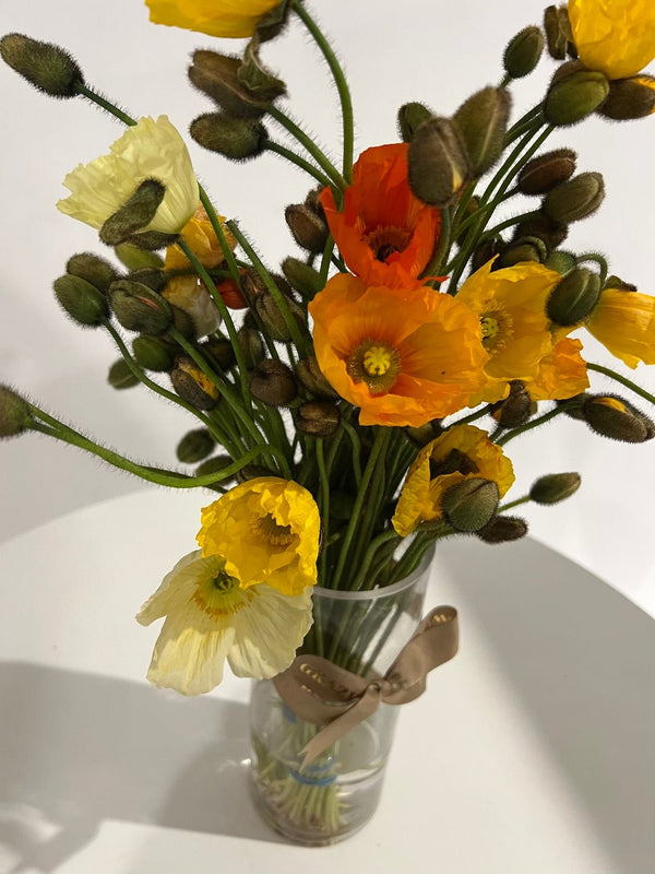 Mixed Colour Poppy Bunch