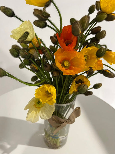 Mixed Colour Poppy Bunch | Same Day Flower Delivery Across Melbourne ...