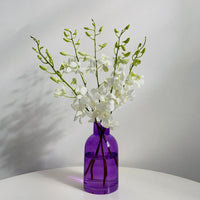 Orchid Bliss - Amazing Graze Flowers