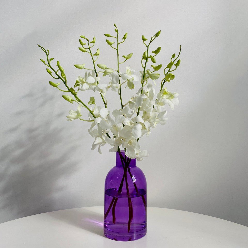 Orchid Bliss - Amazing Graze Flowers