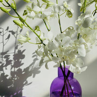 Orchid Bliss - Amazing Graze Flowers
