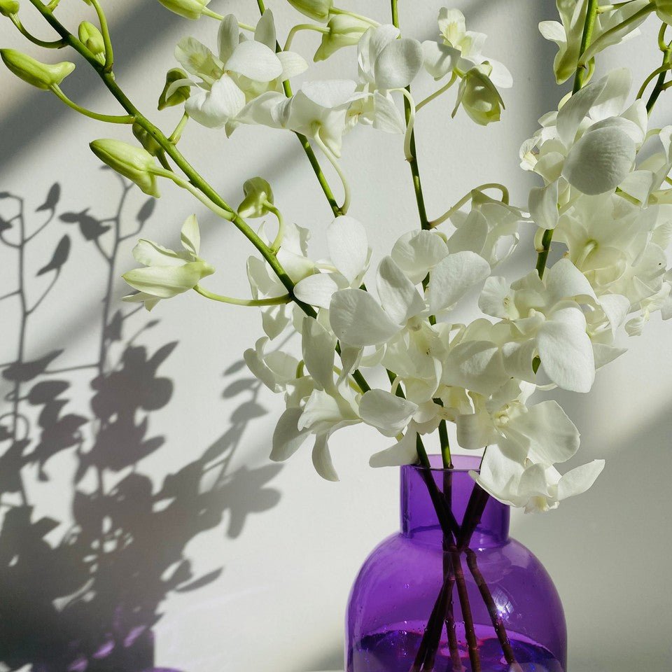 Orchid Bliss - Amazing Graze Flowers