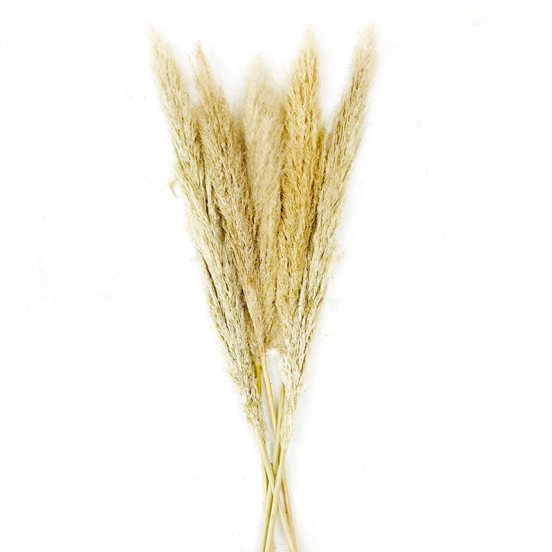 Single Variety Flowers