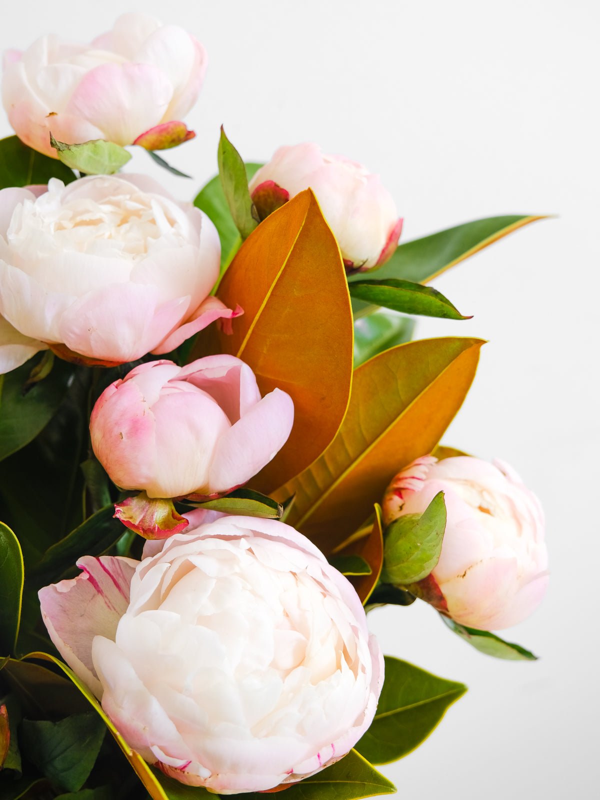 Peonies Bouquet - Amazing Graze Flowers